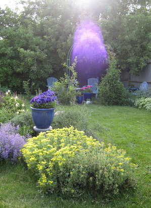 Happy Place purple light nlgcr.jpg