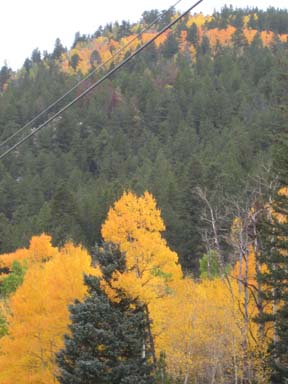 aspen mtn top wires sm.jpg